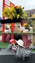 fasnacht2026_016.jpg