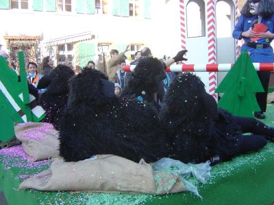 Fasnacht_2008_041.jpg